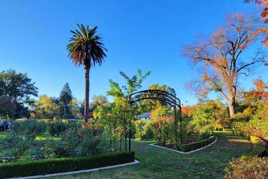 Artist'S Retreat Near The Heart Of The City Σακραμέντο Εξωτερικό φωτογραφία